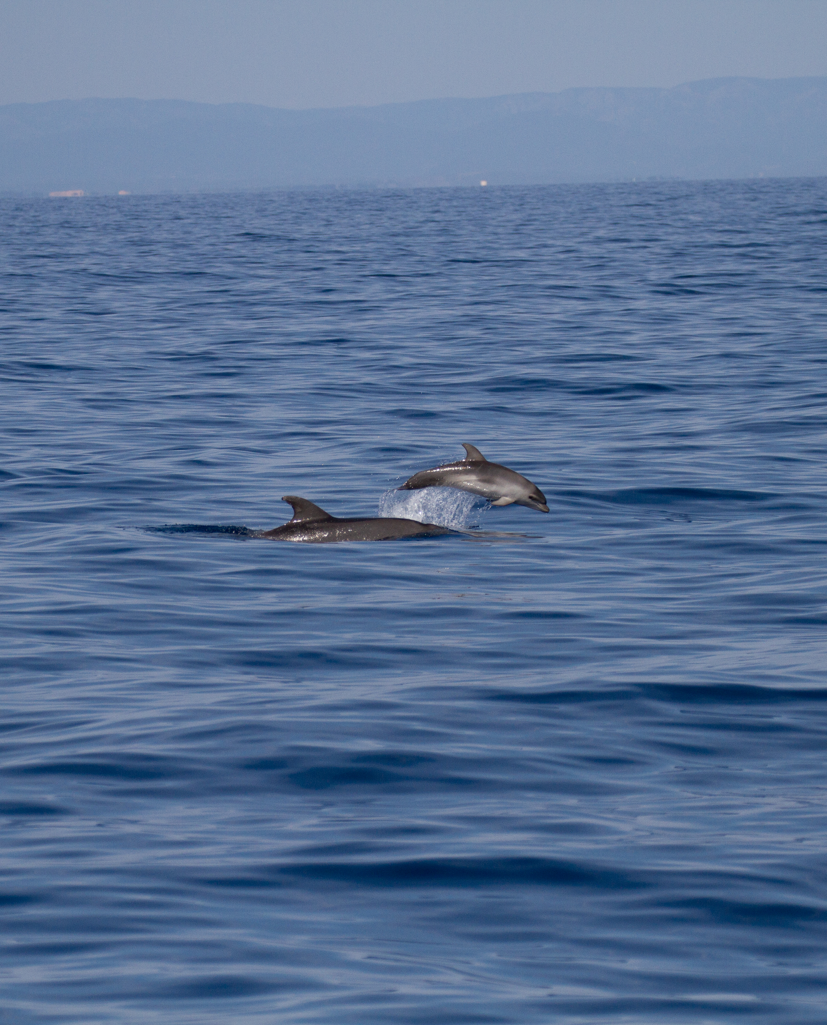 Formation des acteurs en mer