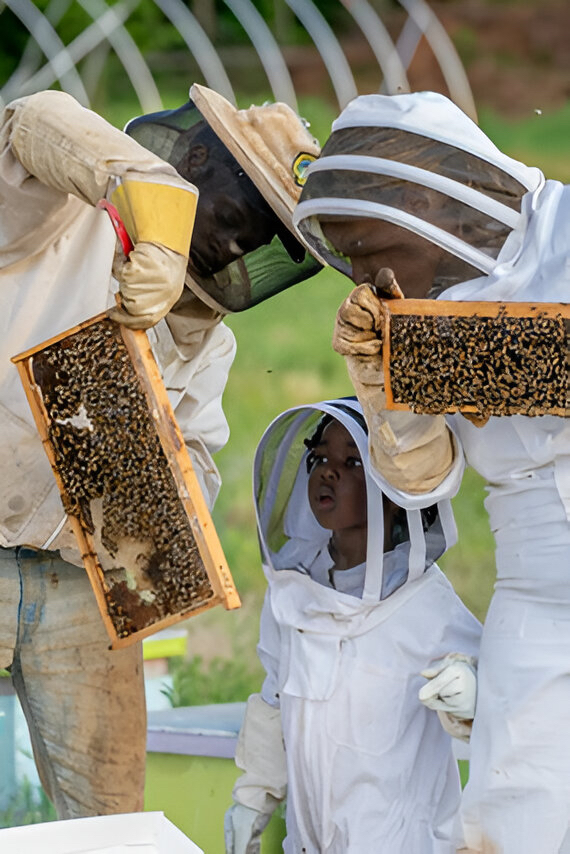 Sensibilisation des enfants