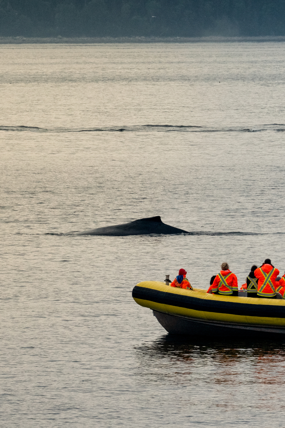 Recherches scientifiques